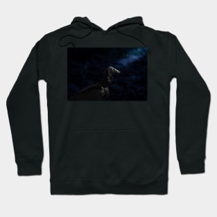 the vulture Hoodie